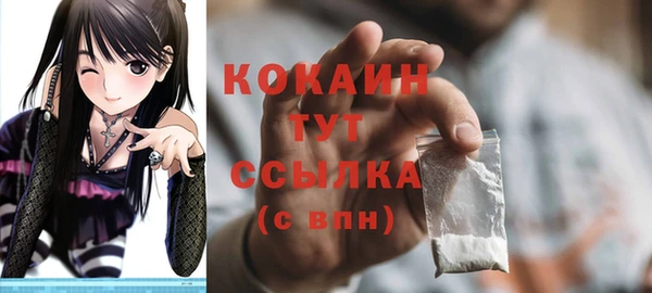 прущие грибы Гусиноозёрск