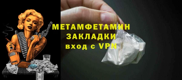 прущие грибы Гусиноозёрск