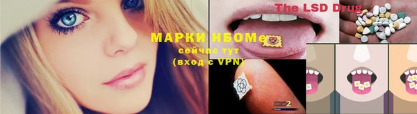 прущие грибы Гусиноозёрск