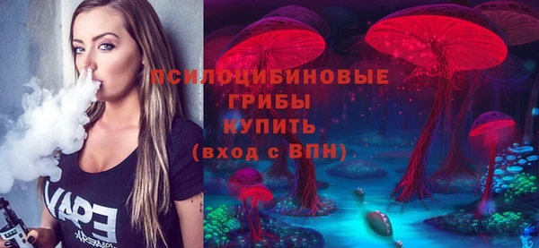 ECSTASY Дмитровск