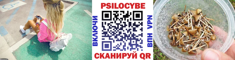 Псилоцибиновые грибы мухоморы  как найти закладки  Дубовка 